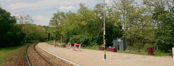 Vinye Vasútállomás is one of 11-es vasútvonal -Bakonyvasút-.