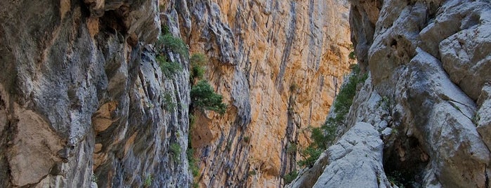Canyon di Gorropu is one of Sardinia.