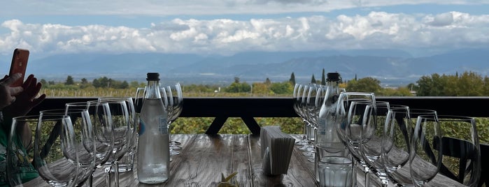 Mosmieri Kakheti Winery is one of Telavi.