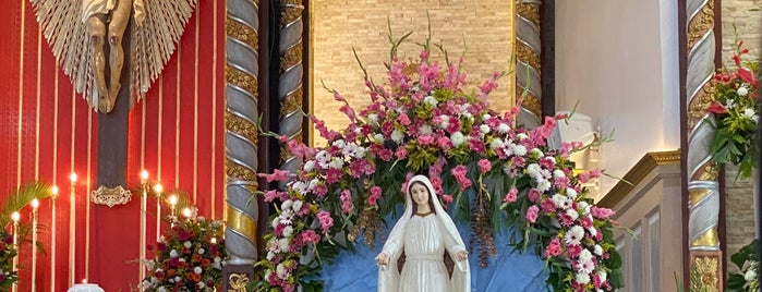 San Vicente Ferrer Parish Church is one of Cebu City Churches.