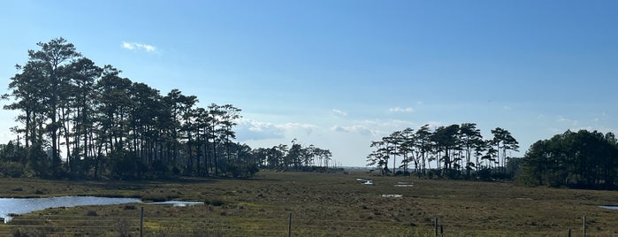 Chincoteague National Wildlife Refuge is one of Maryland - 2.