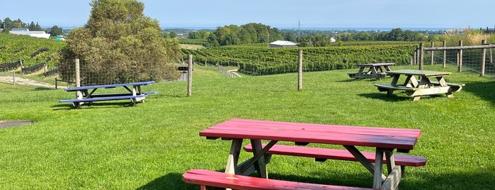 Tawse Winery is one of Winery.