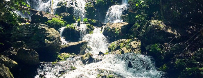 Catawba Falls is one of Asheville.
