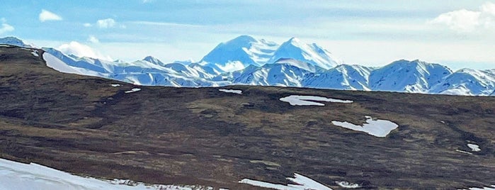 Denali National Park & Preserve is one of MURICA Road Trip.