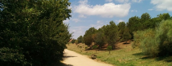 Parc de la Riera is one of Lugares de Barcelona que no te puedes perder.