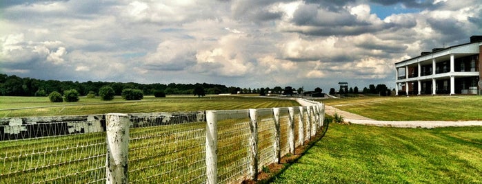 Kentucky Downs is one of Horse Racing Coast to Coast.