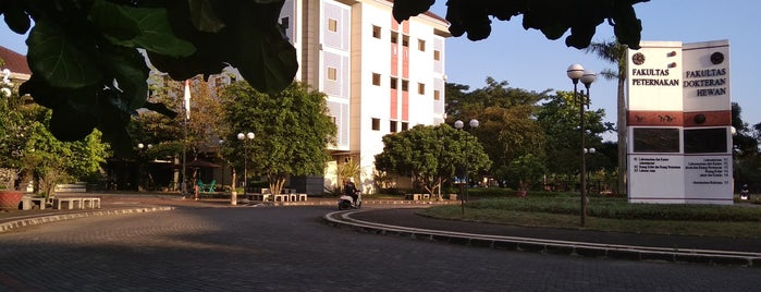 Fakultas Peternakan is one of UGM.