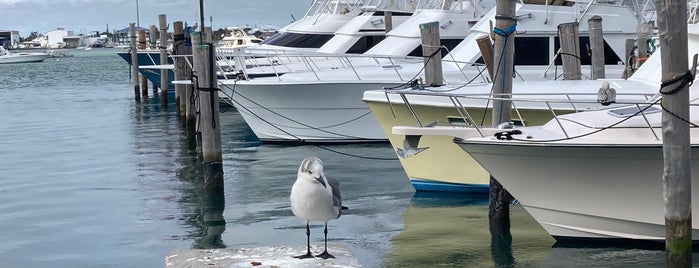 Sailfish Marina Resort Restaurant is one of Lieux qui ont plu à John.