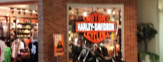 Harley Davidson is one of Harley Davidson 2.