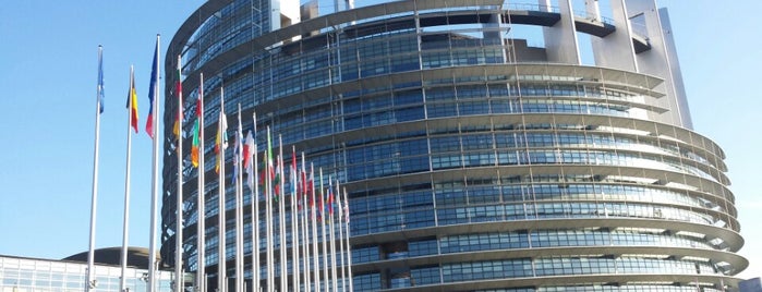 Европейский парламент is one of Strasbourg for Lobbyists & Eurocrats.