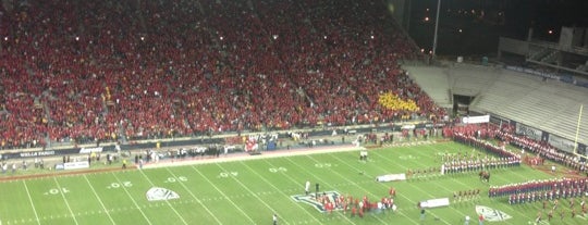 Arizona Stadium is one of NCAA Division I FBS Football Stadiums.