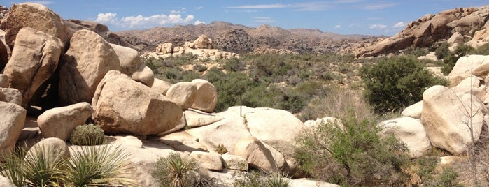 Joshua Tree National Park Pay Entrance is one of Joshua Tree.