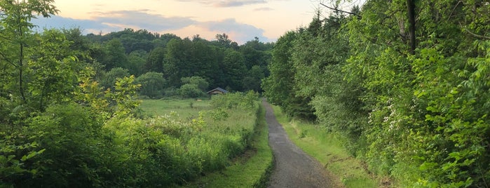 Dundas Valley Conservation Area is one of Places to go to in Ontario (outdoor activity).