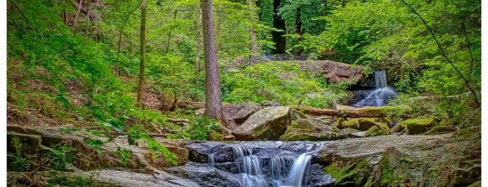 Cascade Springs Nature Preserve is one of ATL.