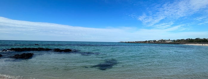 GwakJi Beach is one of KOR Jeju 2020012330.