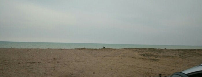← Бесплатный пляж is one of Lieux qui ont plu à Katya.