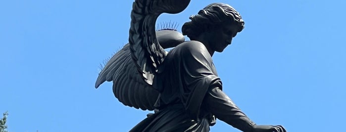 Angel of the Waters is one of The 29 Sculptures of Central Park.