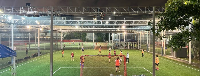 The Premier Pitch Soccer & Futsal is one of Pinoy spots in SG.