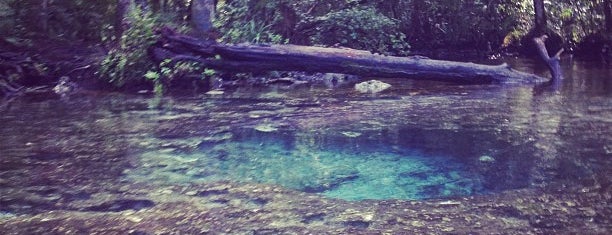 Seven Sisters Springs is one of Activities.