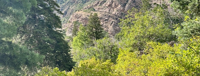 Big Cottonwood Canyon is one of ソルトレイクシティで行ってみたい.