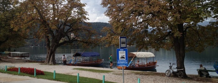 Pletna Boats Mlino is one of Best places to visit in & around Bled.