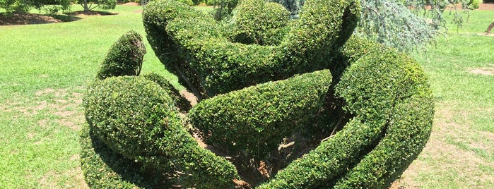 Pearl Fryar Topiary Garden is one of South Carolina.