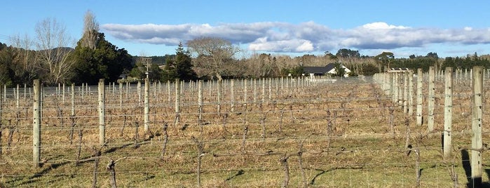 Turanga Creek Vineyard is one of Places to try.