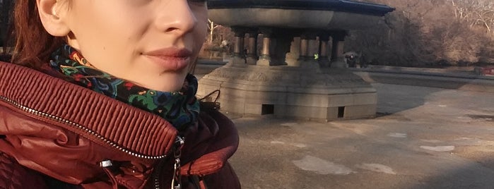 Bethesda Fountain is one of Julia : понравившиеся места.