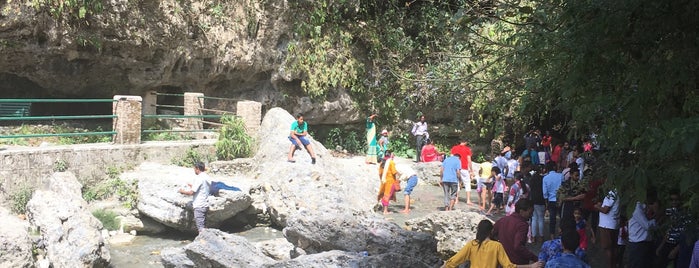 Robber's Cave is one of Dehradun.
