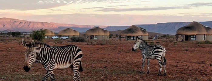 We Kebi Safari Lodge is one of Lugares favoritos de JulienF.