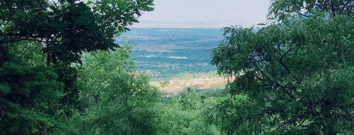 Kocakoru Ormanı Tabiat Parkı is one of Konya to Do List.