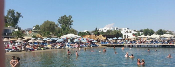 Bacardi Beach is one of สถานที่ที่บันทึกไว้ของ Zeynep.