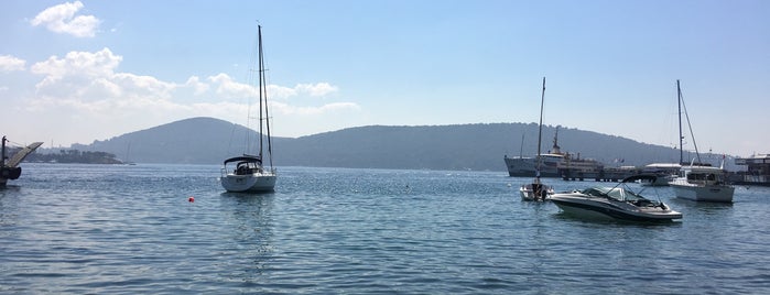 Hakanin Cay Bahcesi is one of Burgazada.