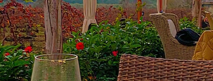 Çakır Winery & Vineyards is one of URLA.