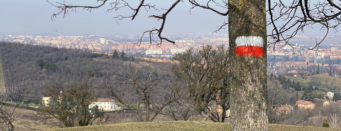 Parco San Pellegrino is one of Bologna.