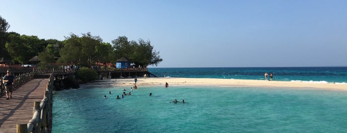 Changuu Island | Prison Island is one of Zanzibar e Pemba.