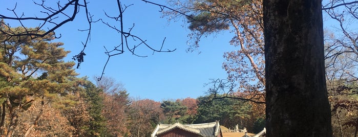 순릉(성종왕비 공혜왕후릉) is one of 조선왕릉 / 朝鮮王陵 / Royal Tombs of the Joseon Dynasty.