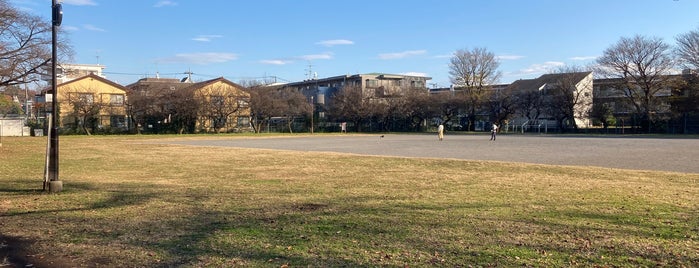 第2しろがね公園 is one of Must-visit Playgrounds in 武蔵野市.