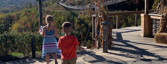 Sky Lift Top Viewpoint is one of Gatlinburg Trip Ideas.