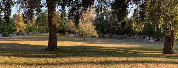 Delridge Playfield is one of Seattle's 400+ Parks [Part 2].