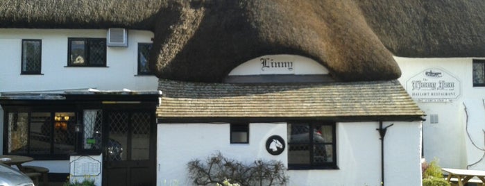 The Linny is one of สถานที่ที่ L ถูกใจ.