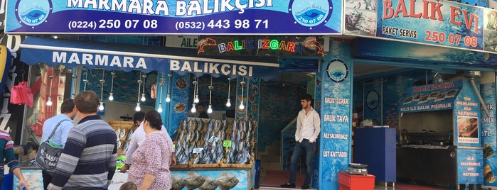 Marmara Balıkçısı is one of Bursa.