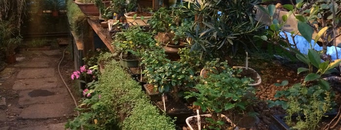 Bonsai Zahrada is one of Prague ToDo.