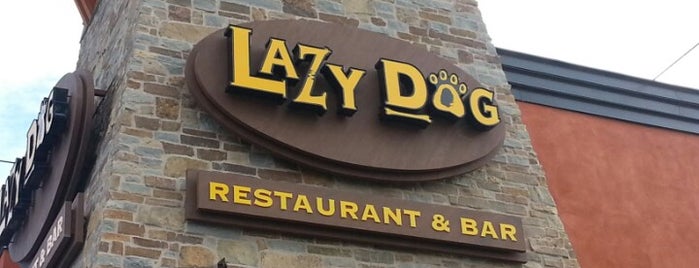 Lazy Dog Restaurant & Bar is one of Tempat yang Disukai Nick.
