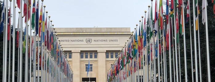 United Nations Development Programme (UNDP) is one of Geneva.