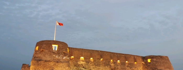 Arad Fort is one of 12 trip.