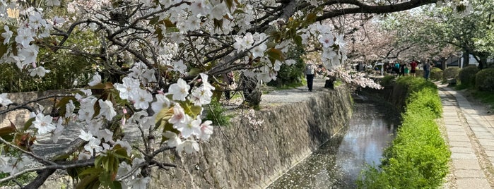 Philosopher's Path is one of Kyoto.