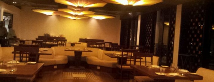 Vasundhara Sarovar Premiere is one of Best Luxury Hotels and Resorts in Kerala.