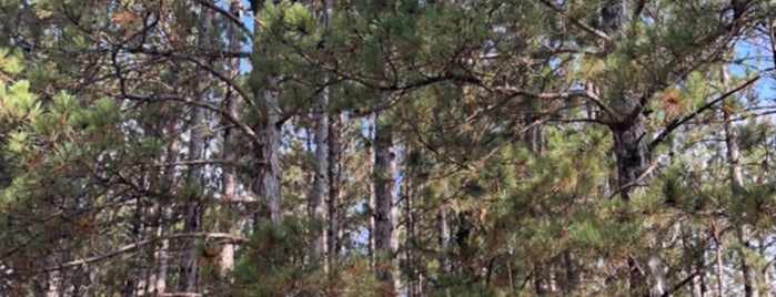 Banning State Park is one of Minneapolis.