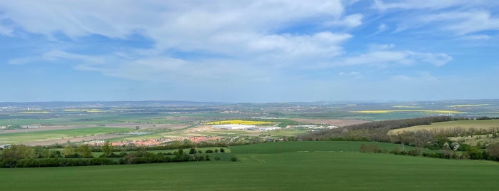 Rozhledna Akátová věž Výhon is one of 2021 Spring Break.